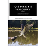 Ospreys in Falconry: Lessons Learned