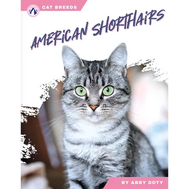 American Shorthairs