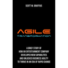 Agile Transformation: A Brief Story of How an Entertainment Company Developed New Capabilities and Unlocked Business Agility to Thrive in an