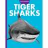 Curious about Tiger Sharks