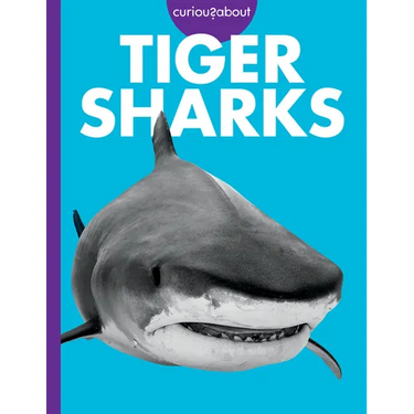 Curious about Tiger Sharks