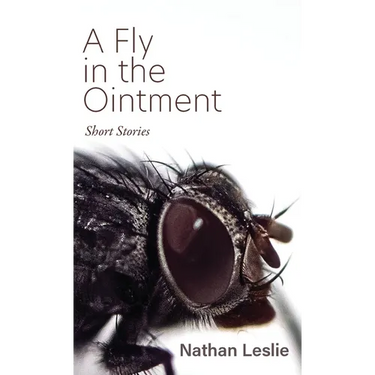 A Fly in the Ointment: Short Stories