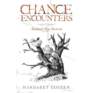 Chance Encounters: Shattered Hope Restored