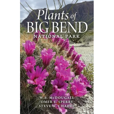 Plants of Big Bend National Park: A Guide to the Trees, Shrubs, Wildflowers, Cacti, and Ferns of the Big Bend Region of Texas