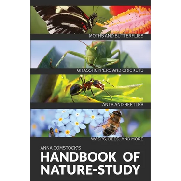 The Handbook Of Nature Study in Color - Insects