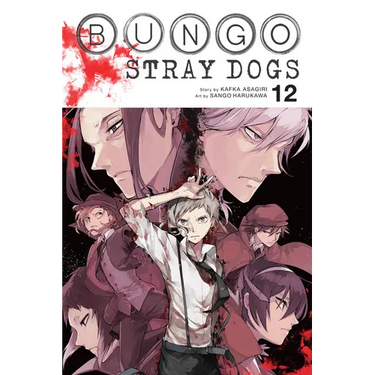 Bungo Stray Dogs, Vol. 12