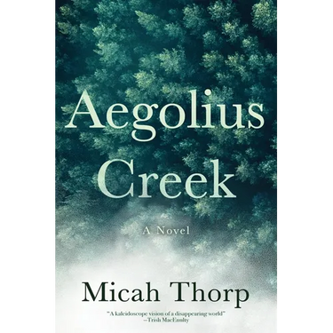 Aegolius Creek