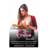 College Erotica Bundle