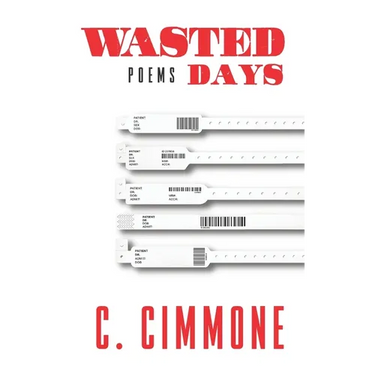 Wasted Days