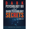 Dark Psychology 101 AND Dark Psychology Secrets: 2 Books IN 1!