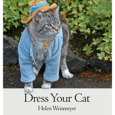 Dress Your Cat