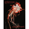Antennae #47 Experiment