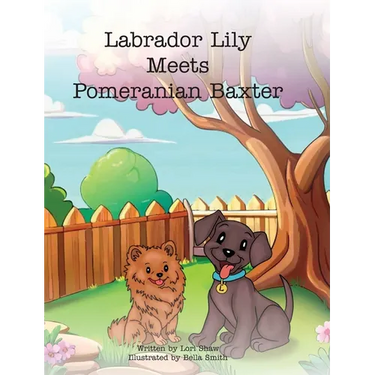 Labrador Lily Meets Pomeranian Baxter