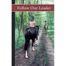 Sonrise Stable: Follow Our Leader