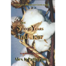 The Slave Years 1765-1767: Names and Surprising Details