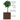 Growing The Money Tree: Financial Freedom One Leaf At A Time
