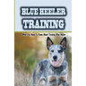Blue Heeler Training: What You Need To Know About Training Blue Heeler: Blue Heeler Training Commands