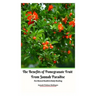 The Benefits of Pomegranate Fruit from Jannah Paradise For Mental Health and Body Healing