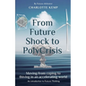 From Future Shock to PolyCrisis