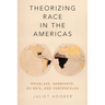 Theorizing Race in the Americas: Douglass, Sarmiento, Du Bois, and Vasconcelos