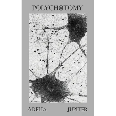 Polychotomy