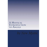 A Mystical Introduction to Angels: Getting to Know Kingdom Resources