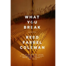 What You Break