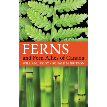 Ferns and Fern Allies of Canada