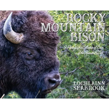Rocky Mountain Bison: A Photographic Collection of Bison of the American West