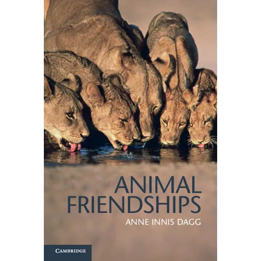 Animal Friendships