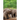 Wellness for Elephants: Proceedings of the Jacksonville Workshop