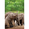 Wellness for Elephants: Proceedings of the Jacksonville Workshop
