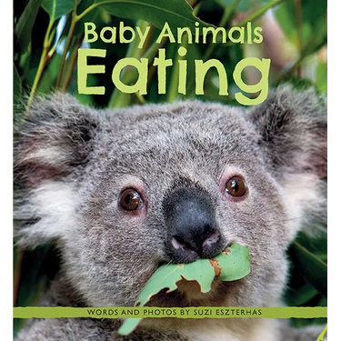 Baby Animals Eating