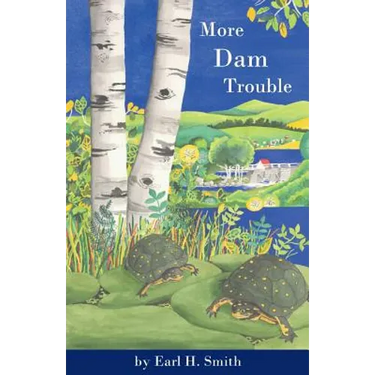 More Dam Trouble