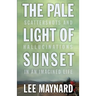 The Pale Light of Sunset: Scattershots and Hallucinations in an Imagined Life