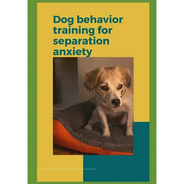 Dog behavior training for separation anxiety