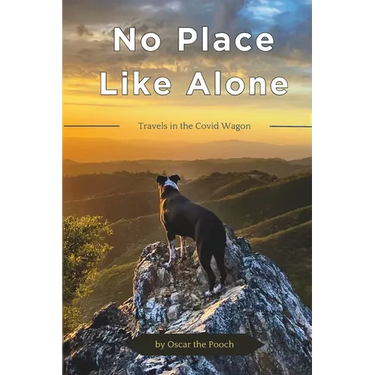 No Place Like Alone