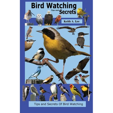 Bird Watching Tips and Secrets