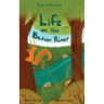Life on the Beaver River