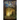 Quest