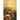 Human Dignity