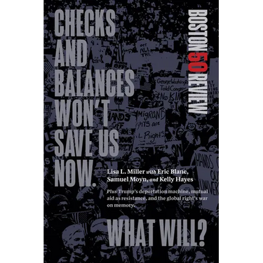 Checks and Balances Won't Save Us Now. What Will?