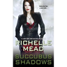 Succubus Shadows