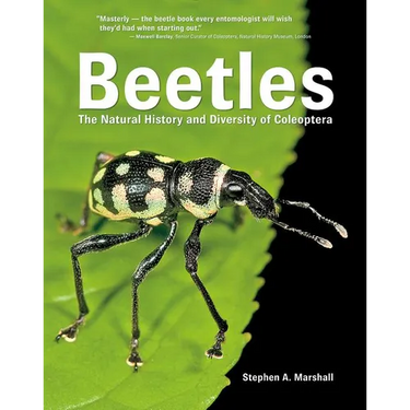 Beetles: The Natural History and Diversity of Coleoptera