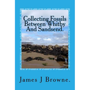 Collecting Fossils Between Whitby And Sandsend.: A Beginner's Guide.