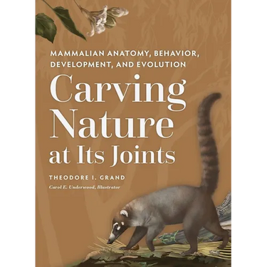 Carving Nature at Its Joints: Mammalian Anatomy, Behavior, Development, and Evolution