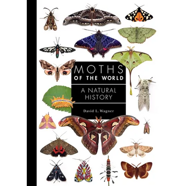 Moths of the World: A Natural History