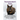 Tortoiseshell Cats. an Informative Guide to Tortoiseshell Cats and Their Famous 'Tortitude'.