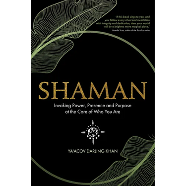 Shaman, Invoking Power, Presence and Purpose at the Core of Who You Are