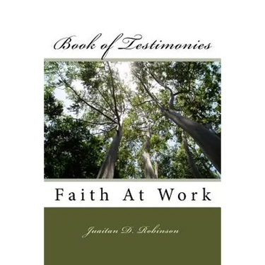 Book of Testimonies: Faith At Work